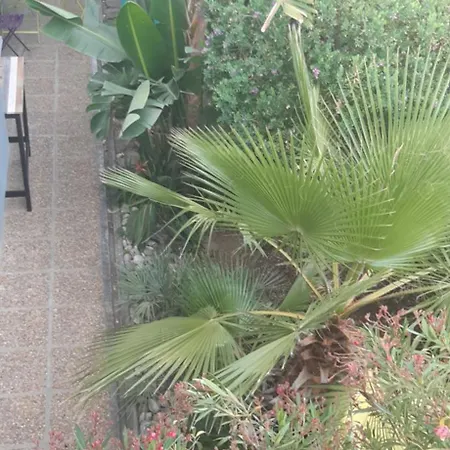 T3 Jardin Terrasse 10 Mn De La *
