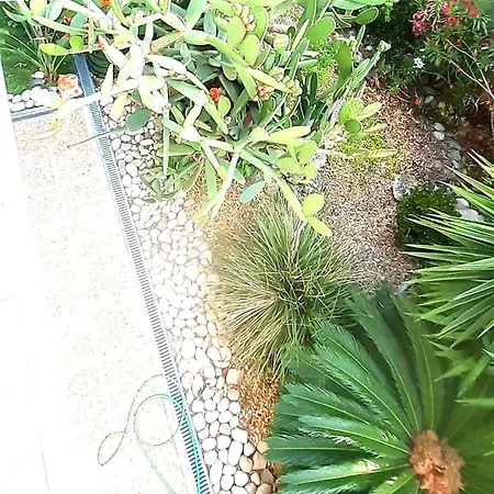 T3 Jardin Terrasse 10 Mn De La