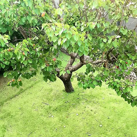 T3 Jardin Terrasse 10 Mn De La Appartamento *